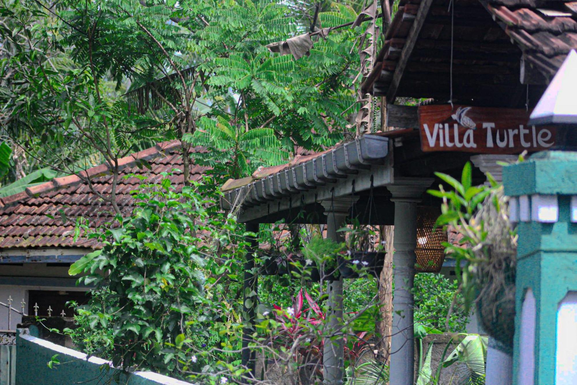 Villa Turtle